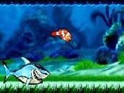 Juego Carrera de Peces - Carrera de Peces online gratis, jugar Gratis