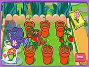 Juego Dora Jardin Musical - Dora Jardin Musical online gratis, jugar Gratis