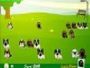 Juego Encuentra tu Perro - Encuentra tu Perro online gratis, jugar Gratis
