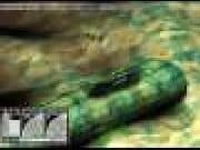 Juego Salva al Kypck - Salva al Kypck online gratis, jugar Gratis
