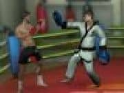 Juego Spike Kickboxin - Spike Kickboxin online gratis, jugar Gratis