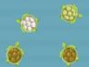 Juego Turtle Pool - Turtle Pool online gratis, jugar Gratis