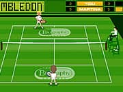 Juego Tennis Open - Tennis Open online gratis, jugar Gratis
